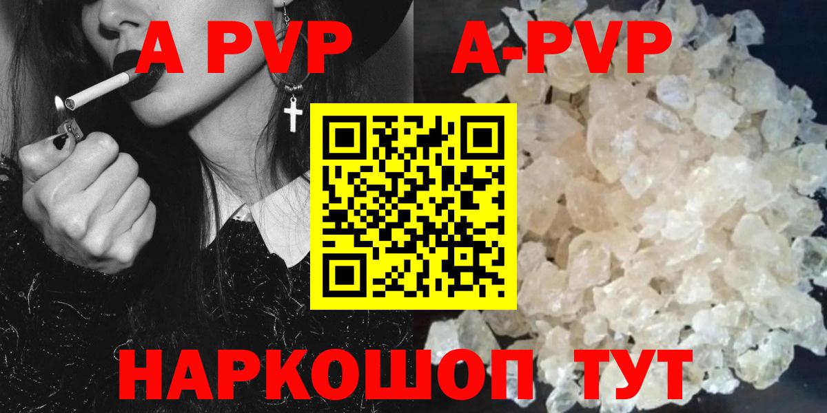 A PVP СК Элиста