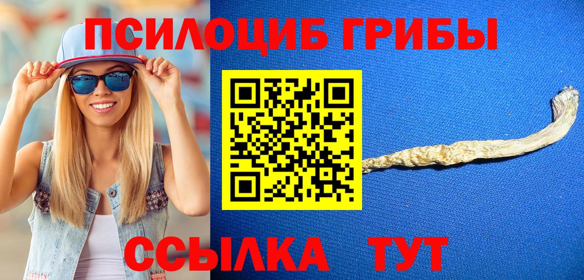 Элиста  купить закладку  Вход с VPN  Псилоцибиновые грибы Cubensis  Галлюциногенные грибы прущие грибы 