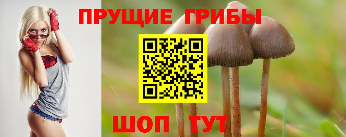 Псилоцибиновые грибы прущие грибы Элиста